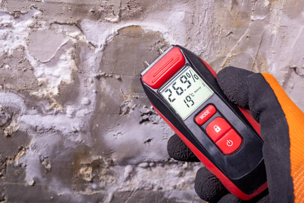Best Certified Mold Removal  in Crestwood, MO