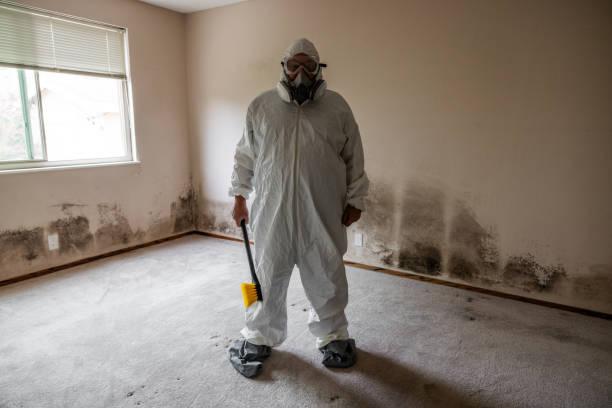 Best Professional Mold Removal  in Crestwood, MO
